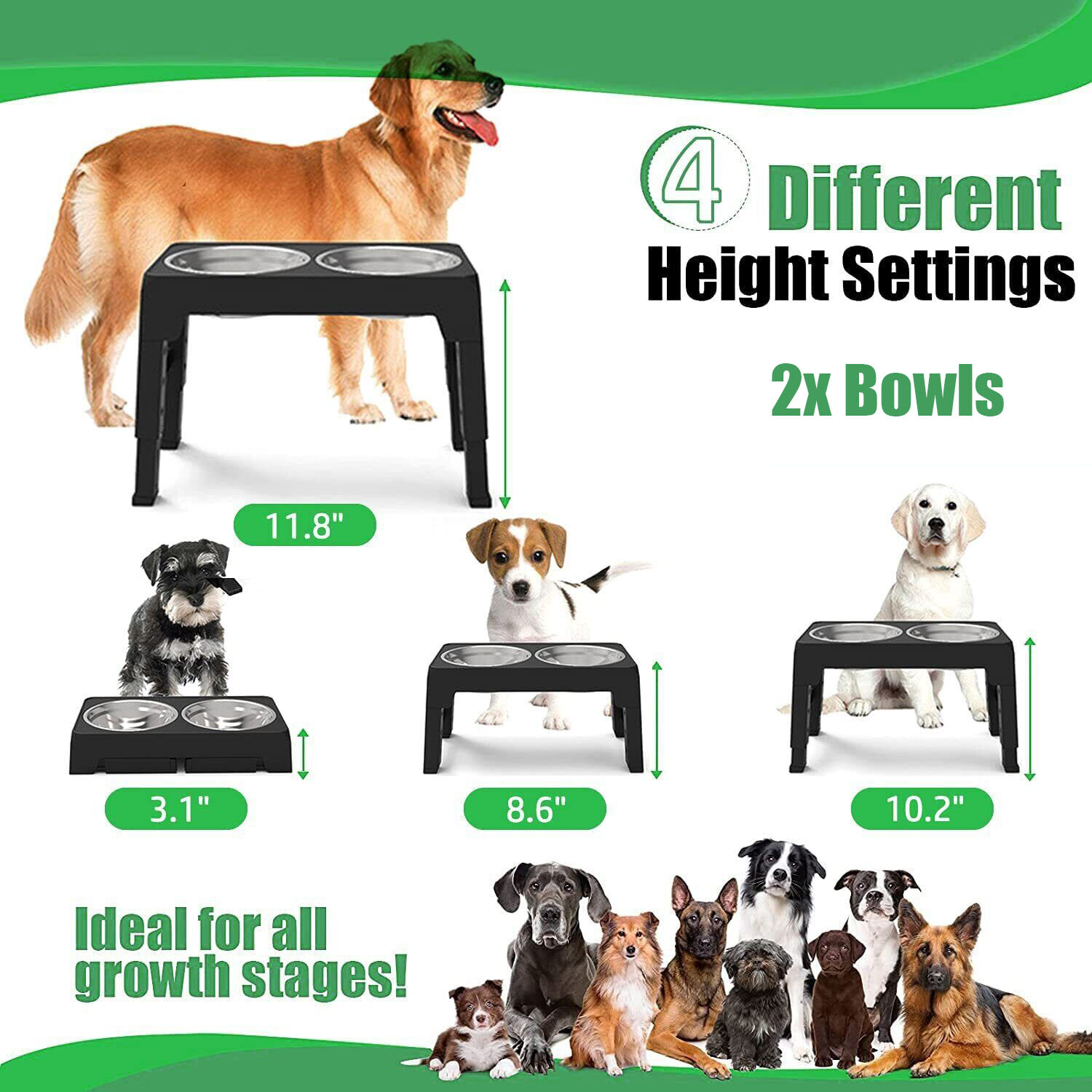 Elevated Dog Bowl Pet Feeder Stainless Steel Raised Food Water Stand W/2 Bowls