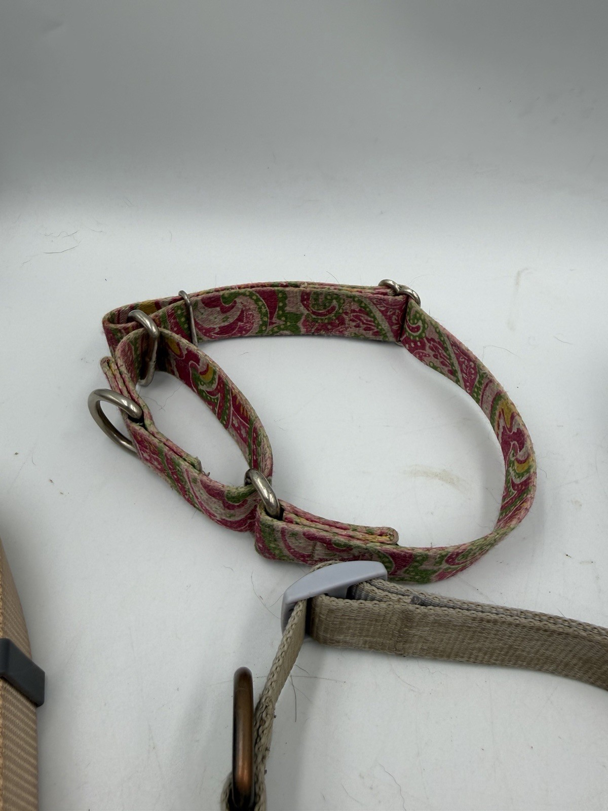 Lot Of 4 Used M/L/XL Dog Collars Training Etc – 1 Martingale