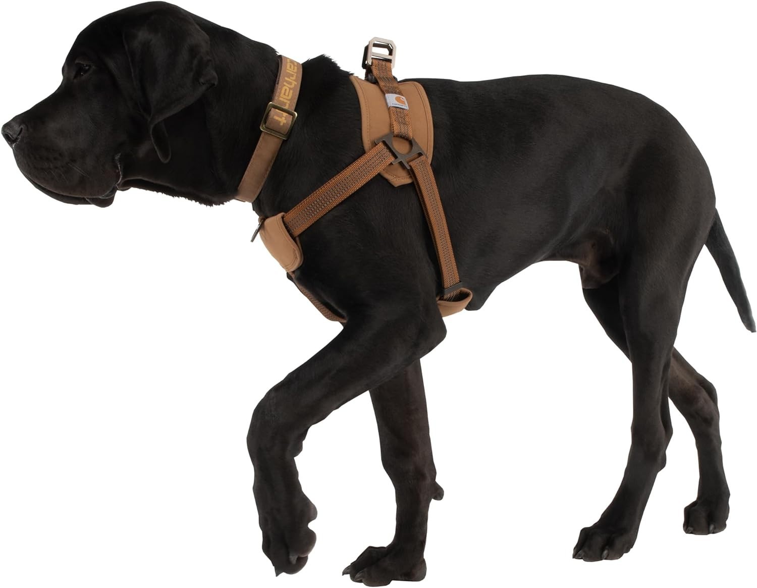 Carhartt Nylon Duck Training Dog Harness Carhartt Brown M, L, XL