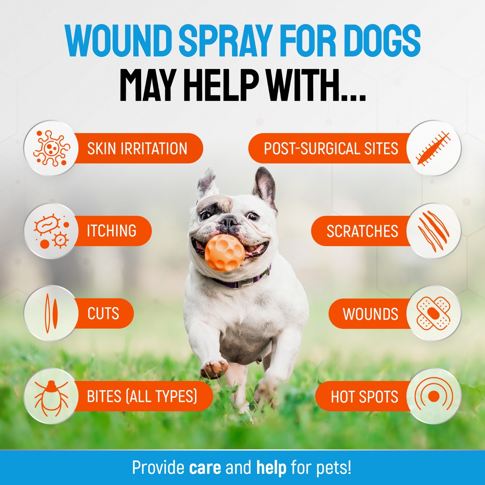 Silver Wound Spray for Dogs & Puppies – Skin Care for Hot Spots, Itch & Rashes