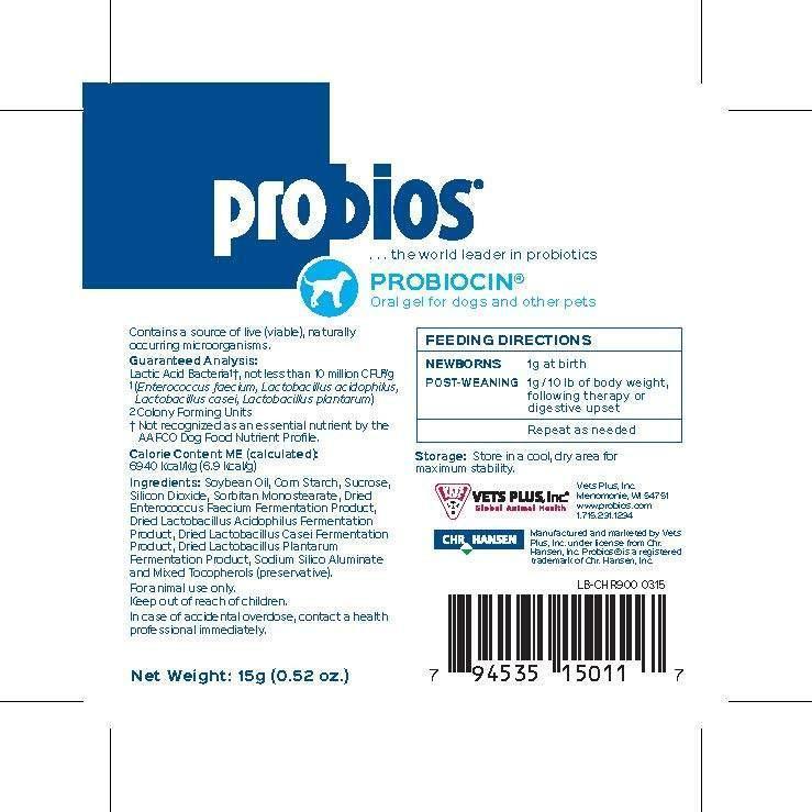 ProBios Probiotic Oral Gel for Dogs and Other Pets Probiocin 15ml Syringe