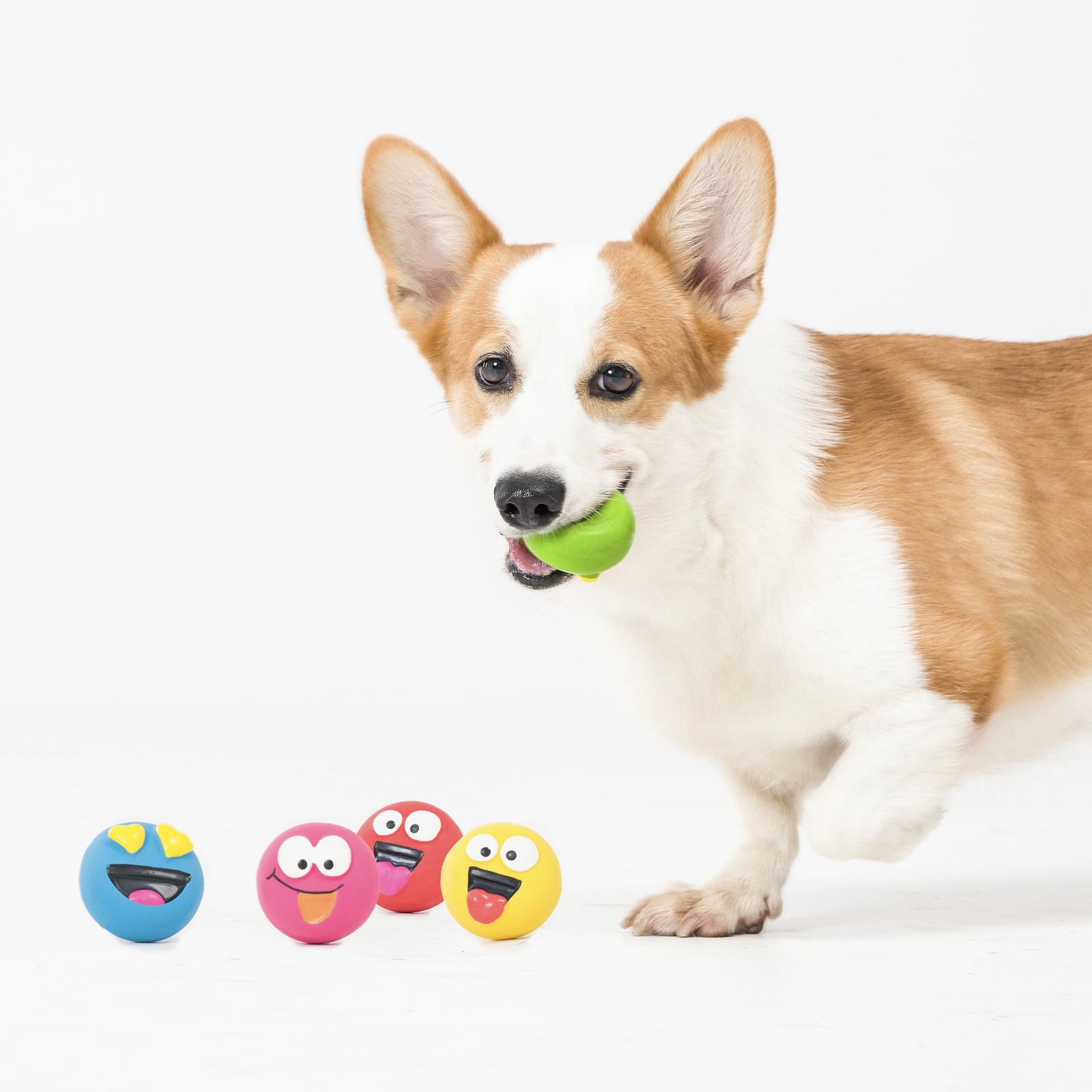 Vibrant Life 5pk EMOTICON LATEX DOG TOY