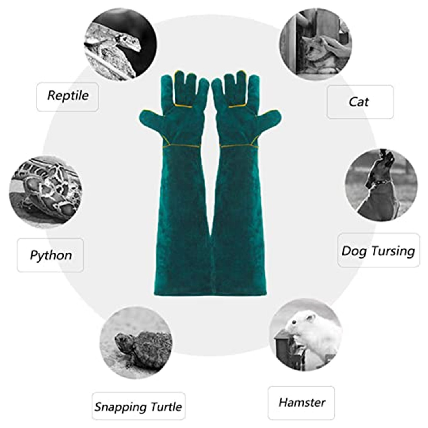 Animal Handling Gloves Leather Sleeve Bite Proof Dog Cat Bird Reptile Protection