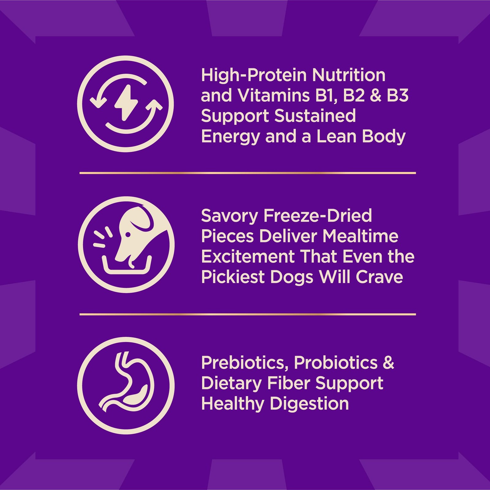 Wellness CORE+ Dry Dog Food with Freeze Dried 4 Pound (Pack of 1), Turkey