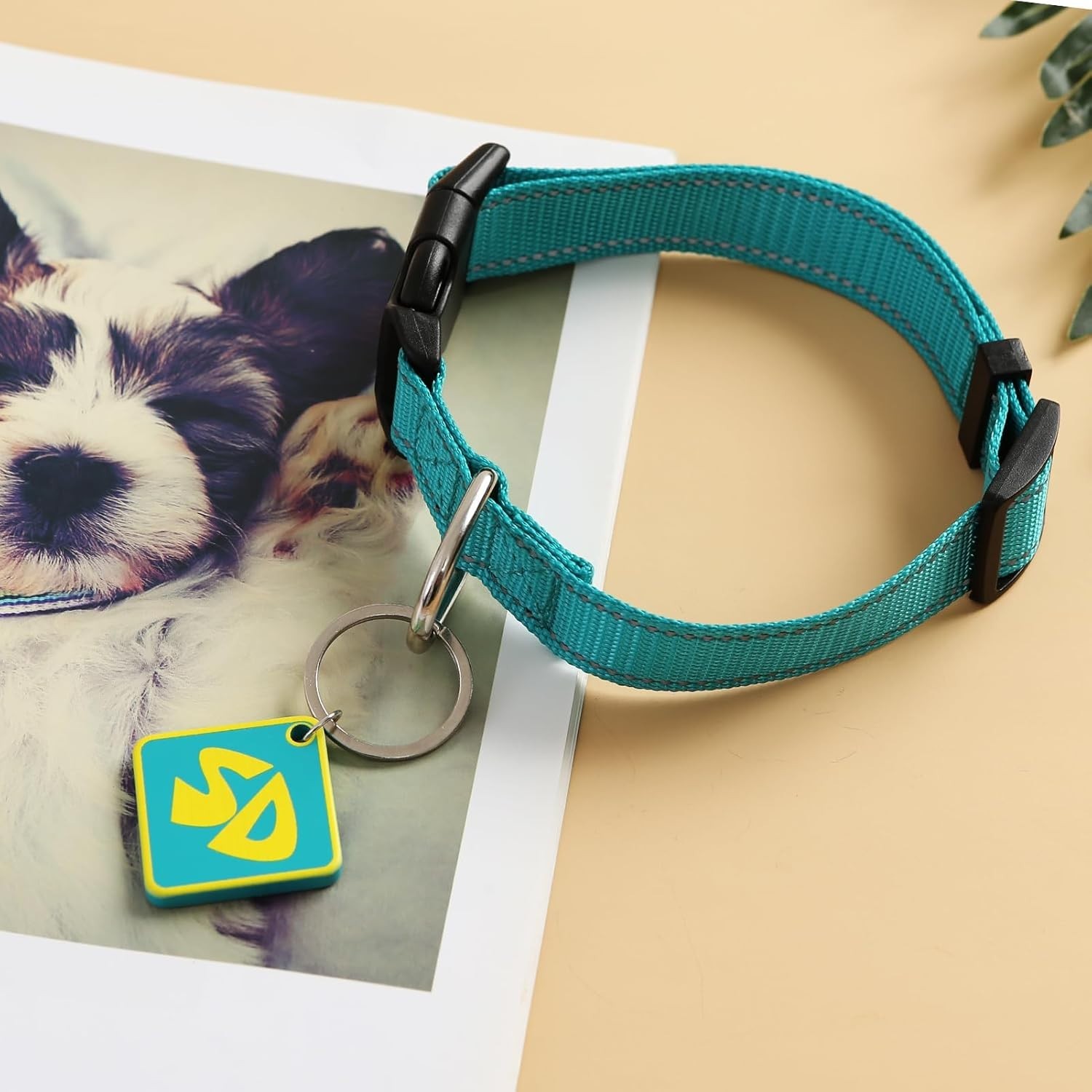 Dog Halloween Costumes SD Tags with Nylon Adjustable Collar SD Collar Tags