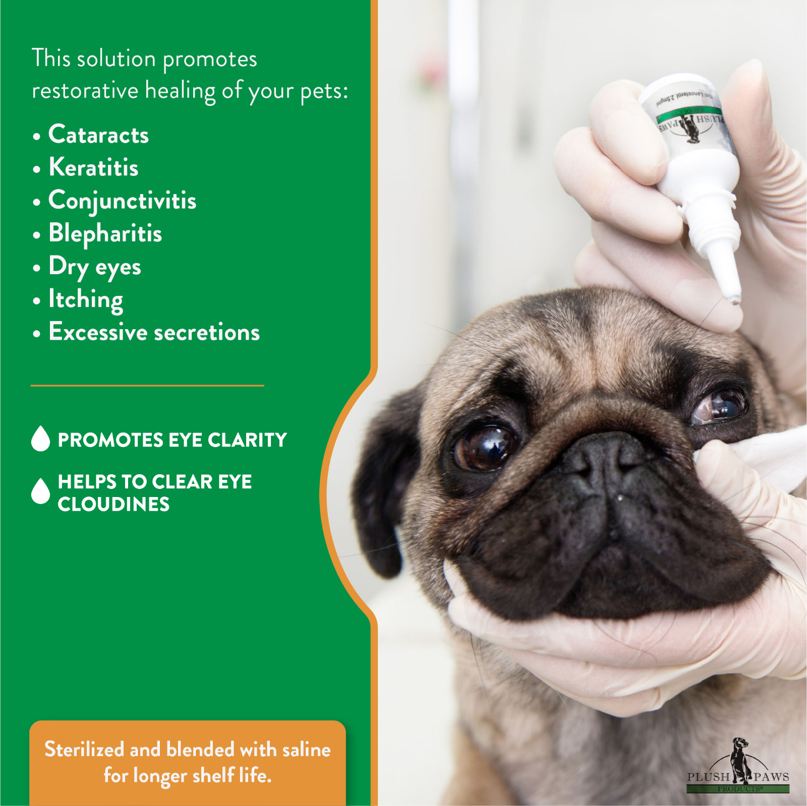 Plush Paws Lanosterol Solution + NAC, Dog Eye Care for Cataracts, Dryness Relief