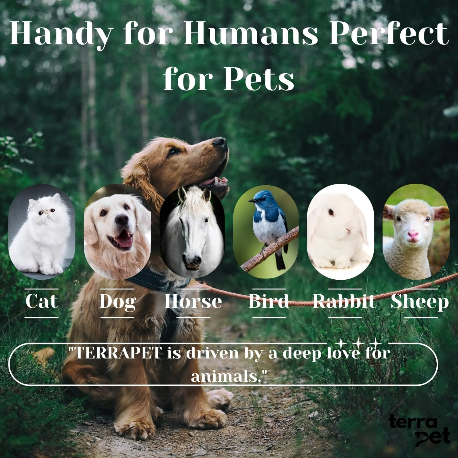Pet Eye Care Ointment for Dogs, Cats, Cattle, Sheep, Horse, Bird 1/8 oz / 5 gr,