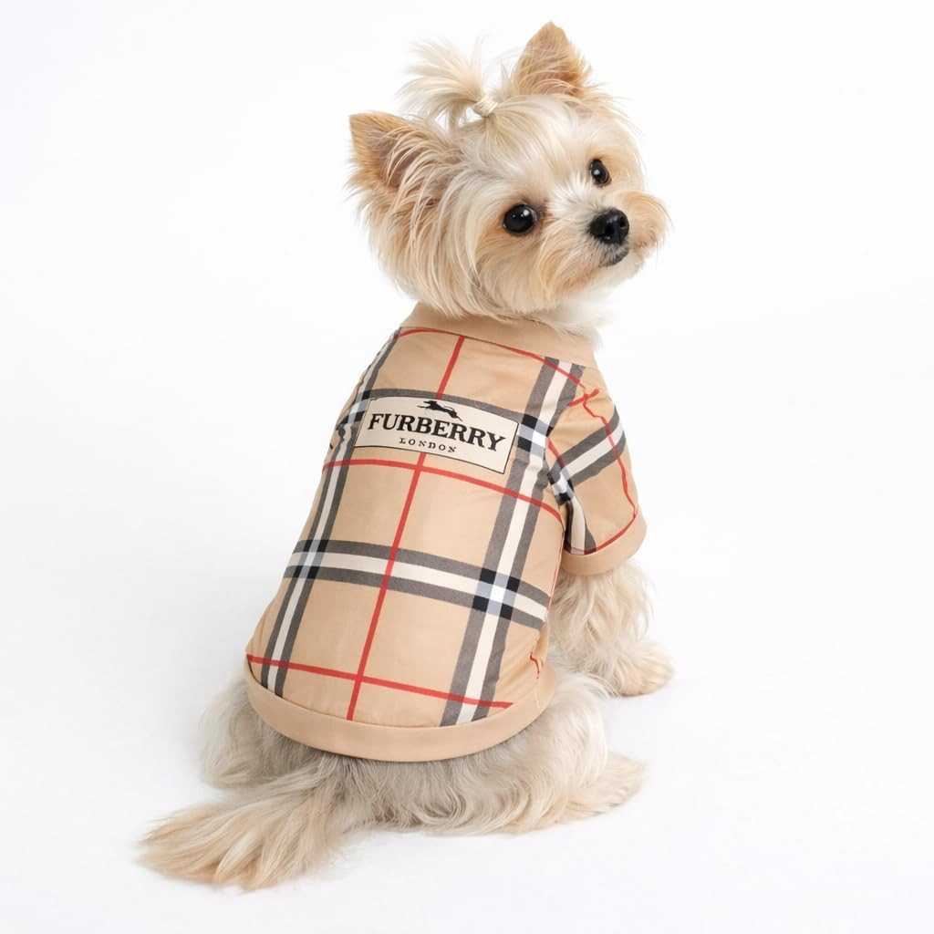 Luxury Designer Dog T Shirt – Trendy Puppy Clothes for Small Dogs, Fashion Pet T