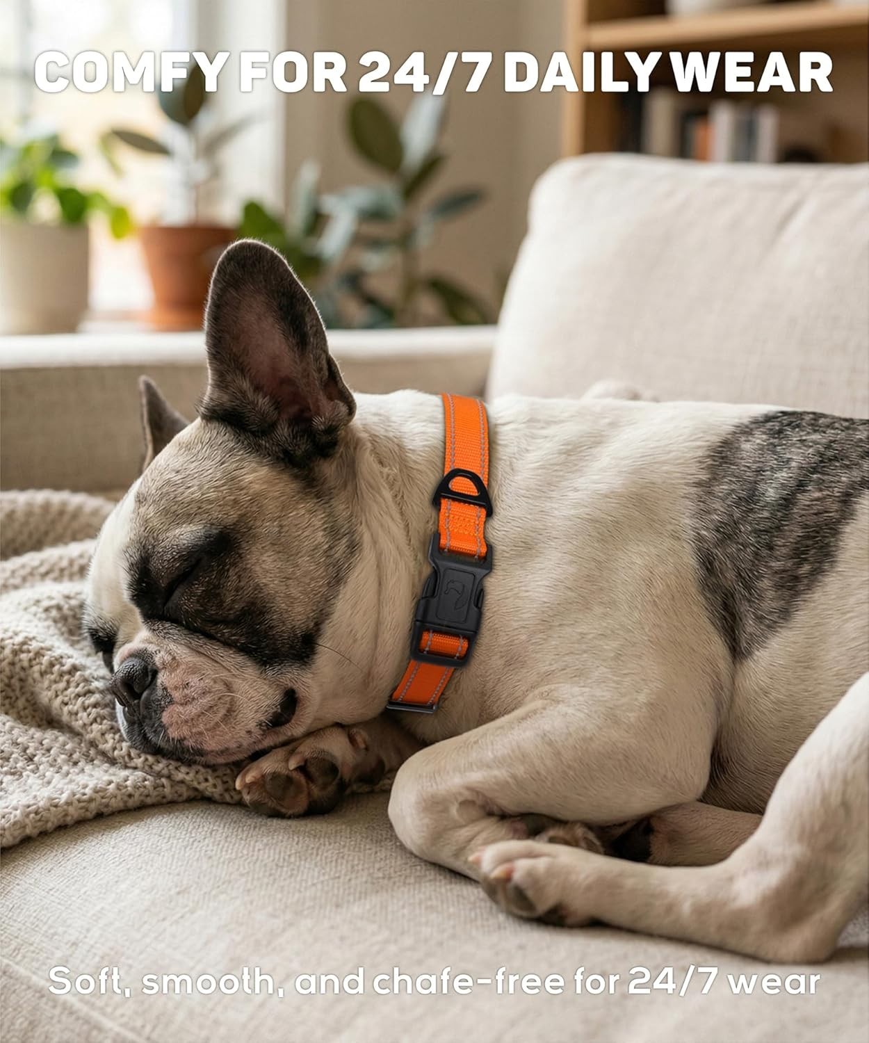 High-Visibility Reflective Dog Collar for Medium Breeds – Soft Nylon & Stylish