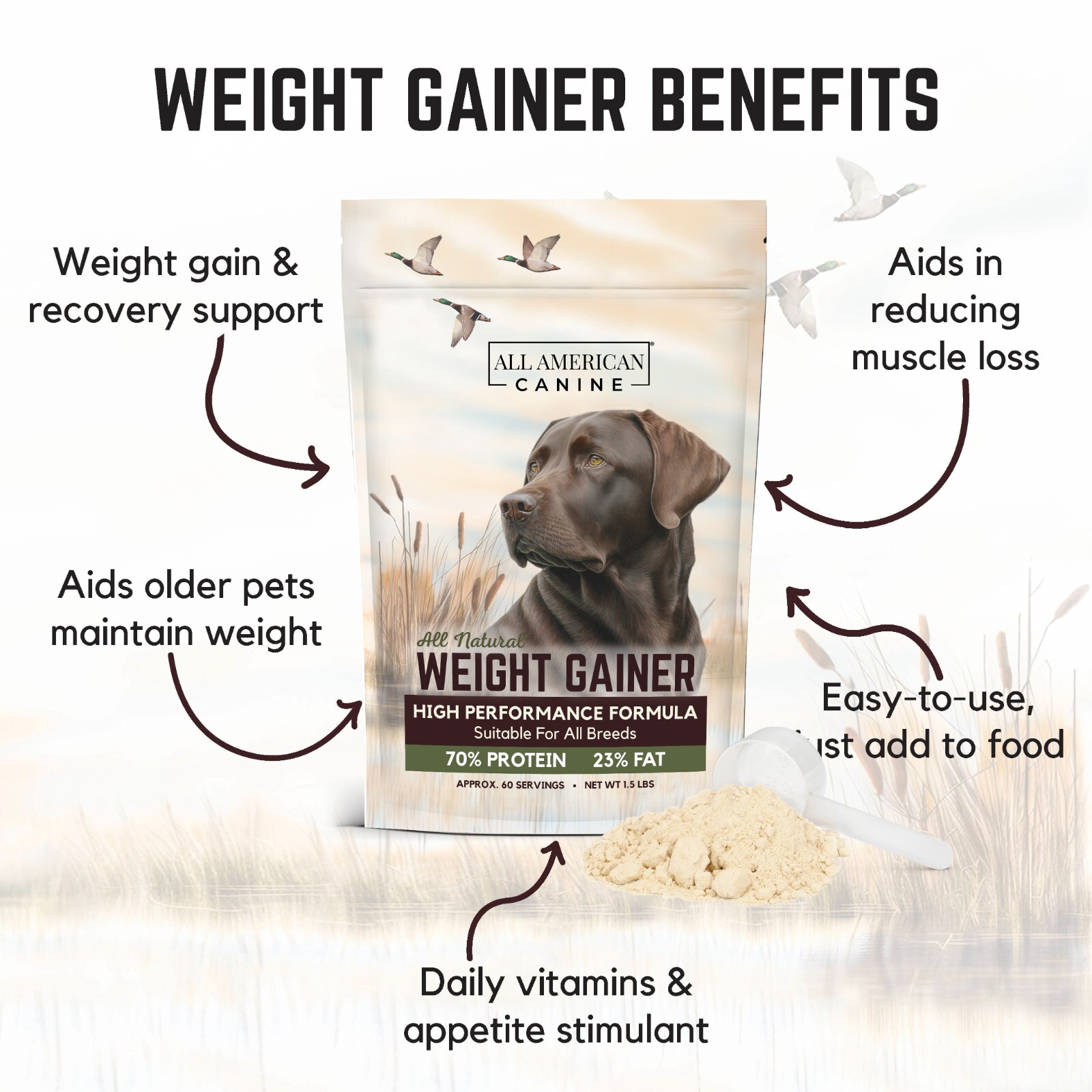 Dog Weight Gainer – Dog Protein Powder – High Calorie Dog Food Supplement