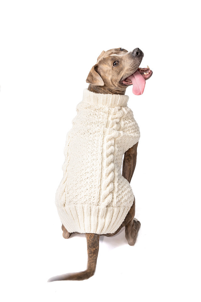 Natural Cable Knit Dog Sweater Chilly Dog Hand Knit Wool XXS-XXXL Puppy Pet NWT