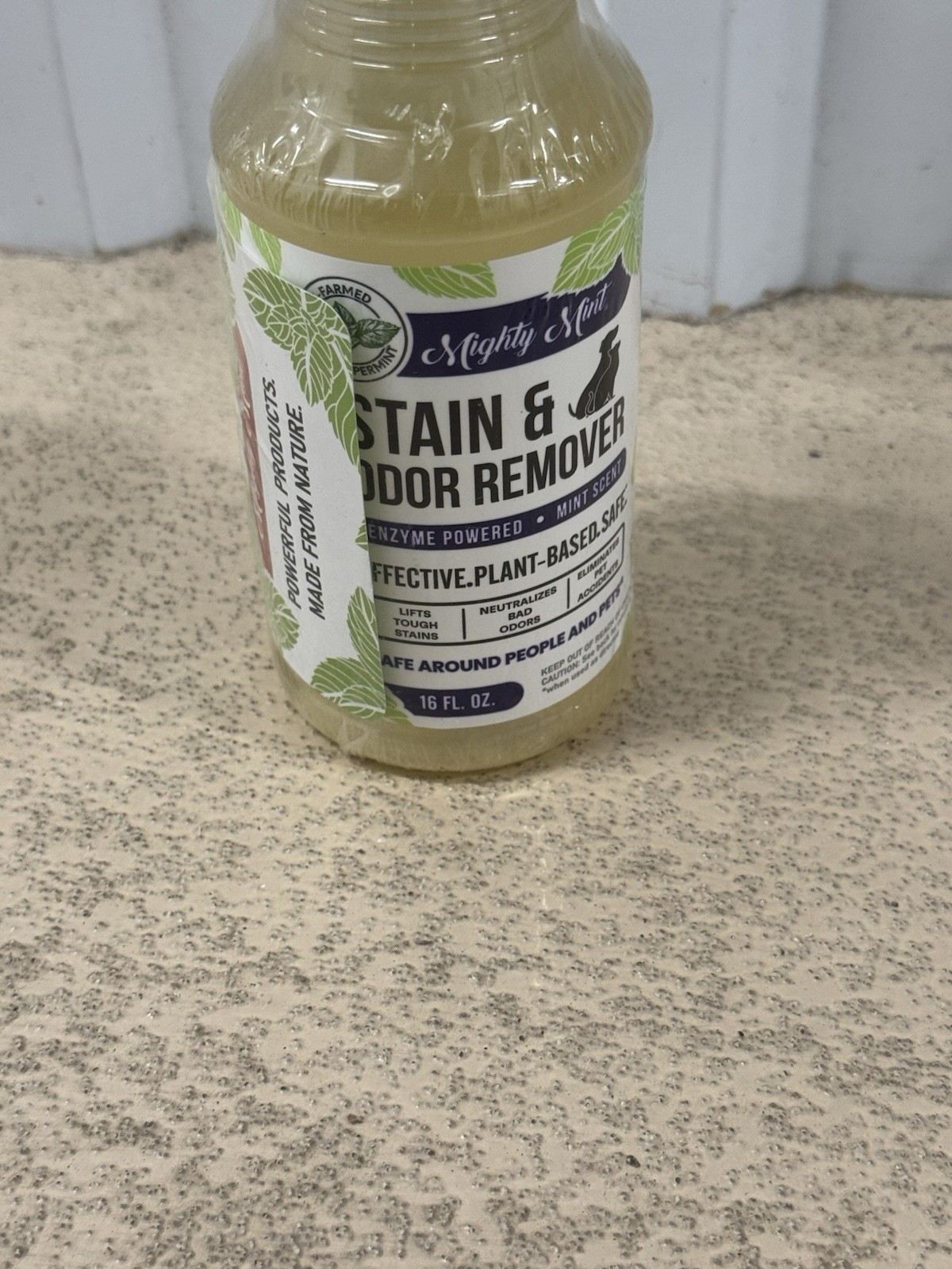 Mighty Mint Stain & Odor Remover, Natural 16 Fl Oz (Pack of 1),