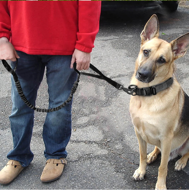 Tactical Dog Collar w/ Handle +Leash Heavy Duty Military Service Canine Training