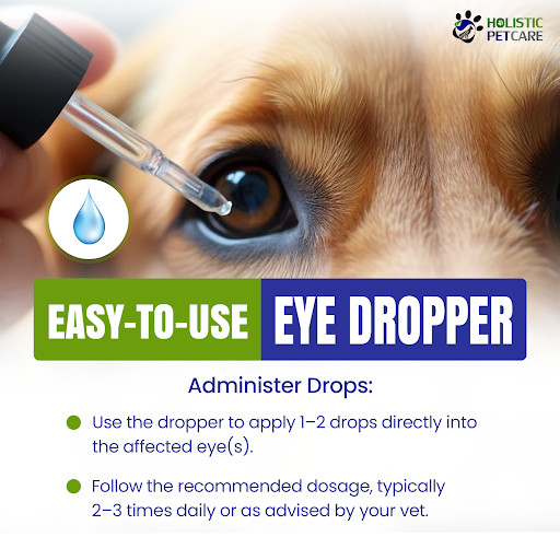 Holistic Pet Care Colloidal Silver/DMSO Eye Drops for Pets