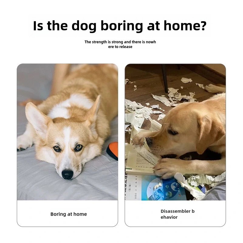 Bite-Resistant Dog Chew Toy – Sound Paper Newspaper for Pets, Durable and Safe I