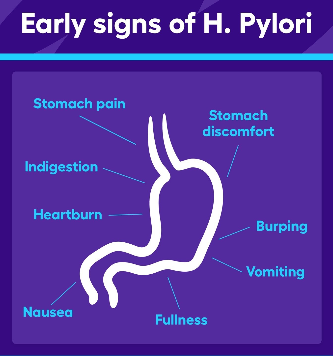 NATURAL HERBS FOR STOMACH BACTERIA – H. PYLORI IN GUMMIES – MADE IN USA
