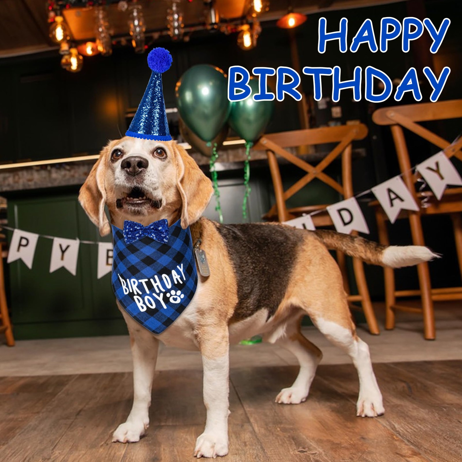 Dog Birthday Party Supplies Bandana Hat Bow Tie 0-8 Numbers Blue X-Large