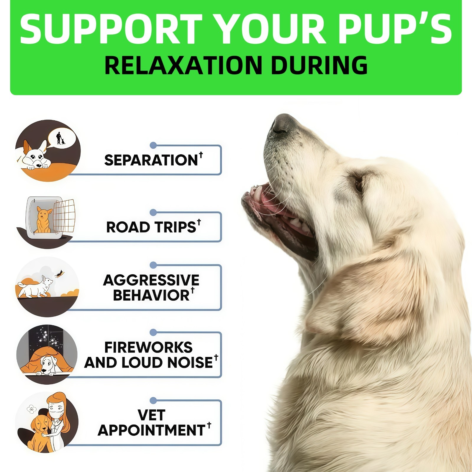 Hemp Calming Chew for Dog – Sleep&Mood for Dogs-Helps Manage Stress & Separation