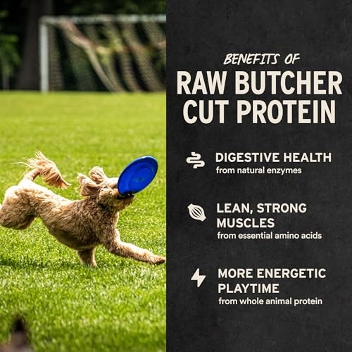 Freeze Dried Raw Dog Treats | Single 9 Ounce (Pack of 1) Chicken Necks
