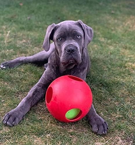 Jolly Pets Teaser Ball 8 inch Red Hard Plastic plus Squeaker Toy for Dogs