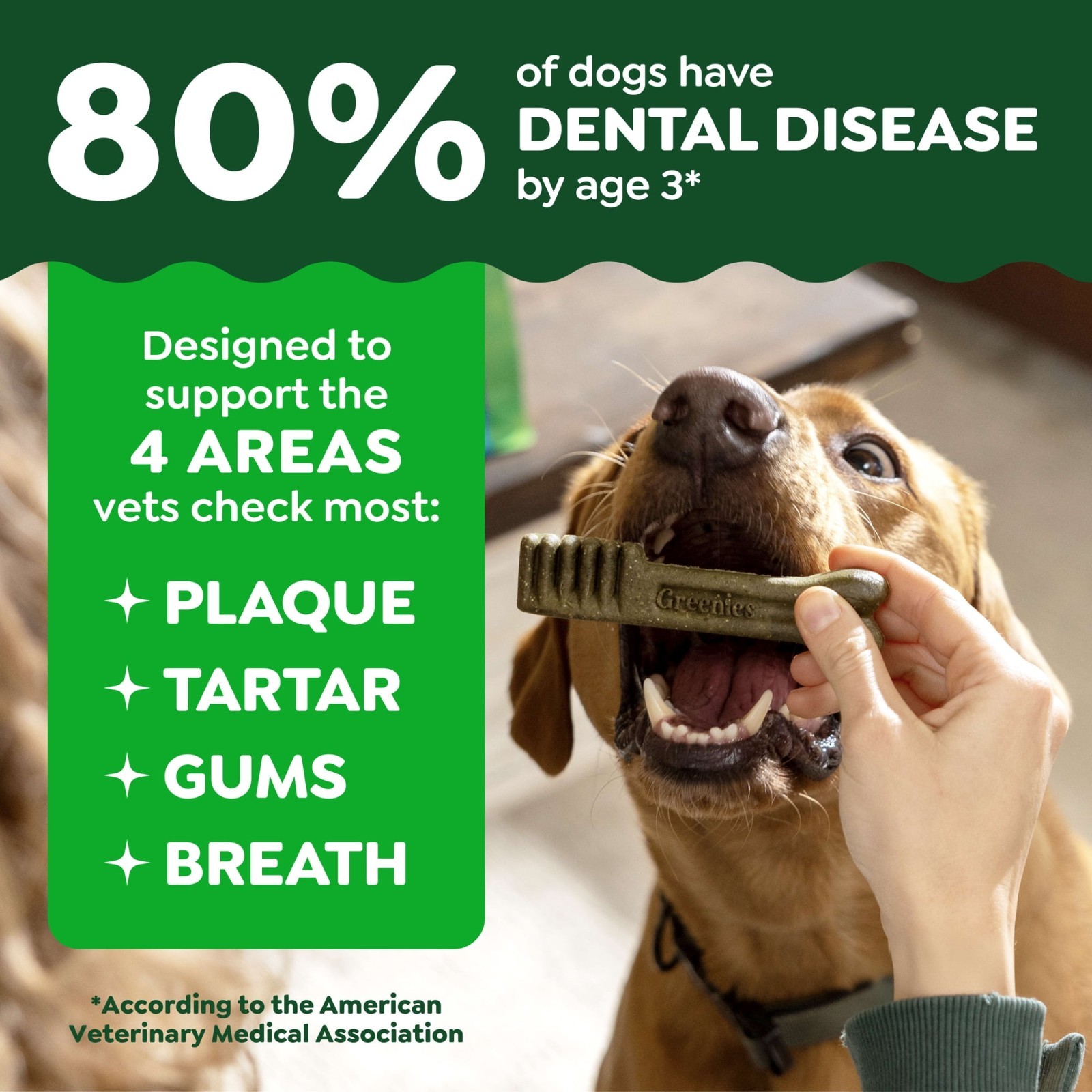 Greenies Original Flavor Adult Natural Dental Dog Treats Teenie Size, 54 oz Pack