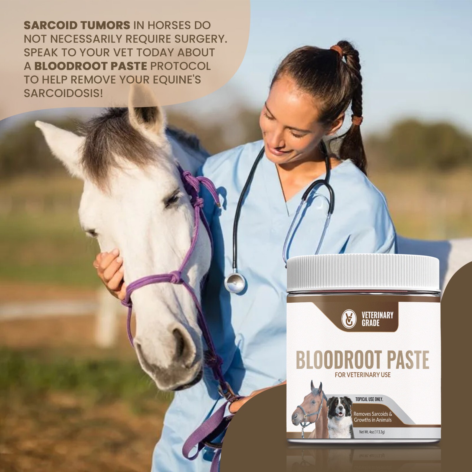 Handmade Bloodroot Paste for Equine Sarcoid-Removal | (4oz) Buy 3 Get 1 Free