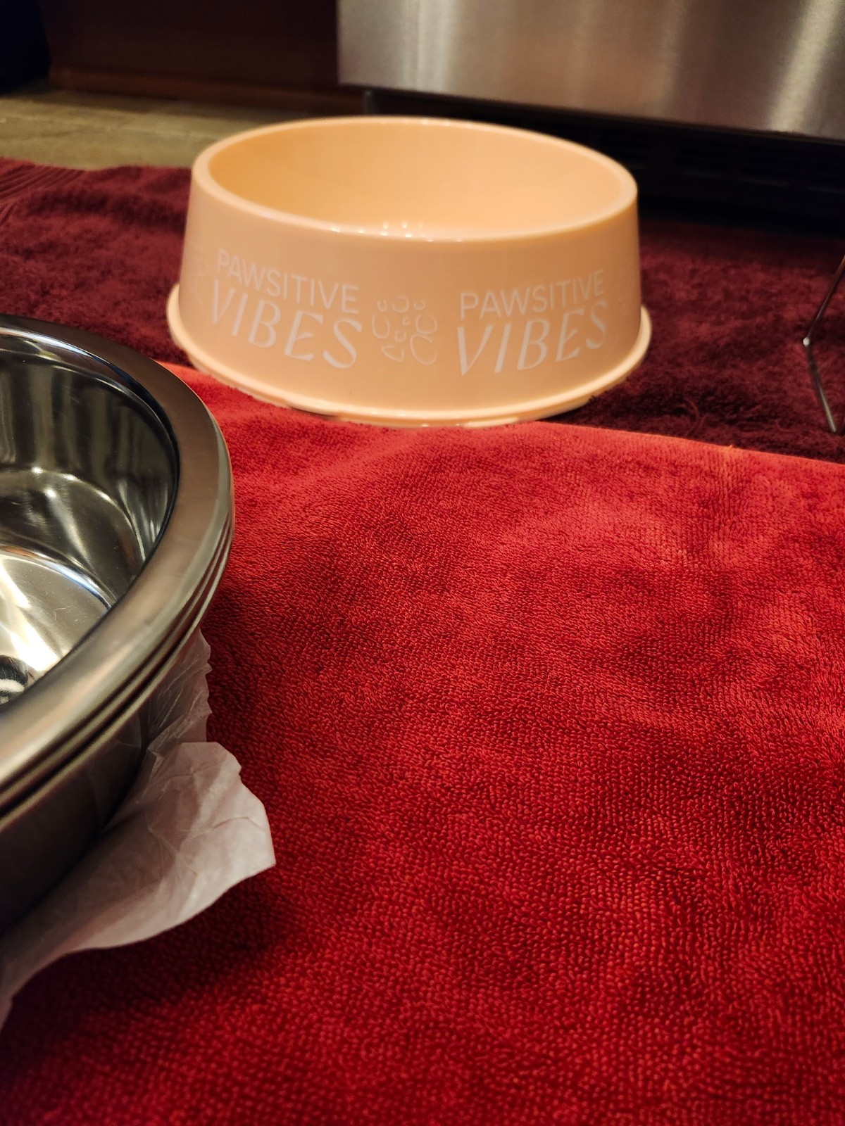 Pet Feeding Bowls. Set of 2. (Large, Small, Plastic or Elevated). FREE SHIPPING!