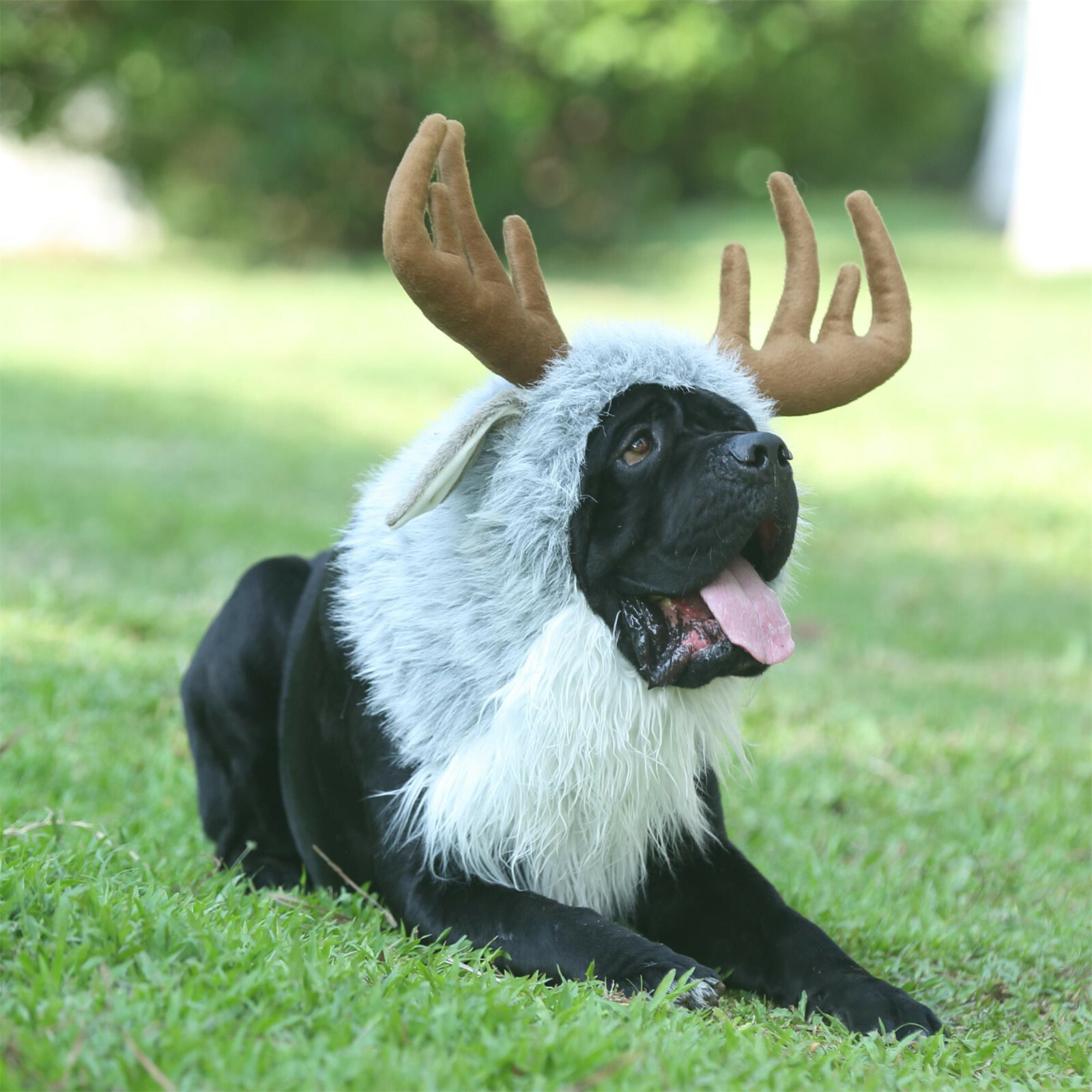 Lion Mane for Dogs, Funny Halloween Costume Apparel for Dogs, Snoods for Dogs