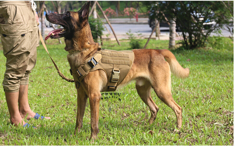 Tactical Dog Vest Harness – Military K9 Dog Training Vest – US Working Dog