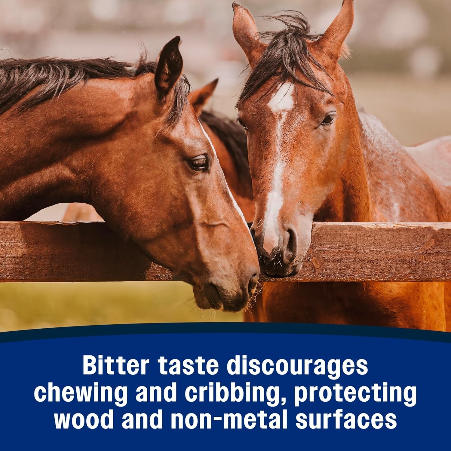 Bitter Tasting No Chew Spray – 32 Oz for Horses – Safe and Effective Protection