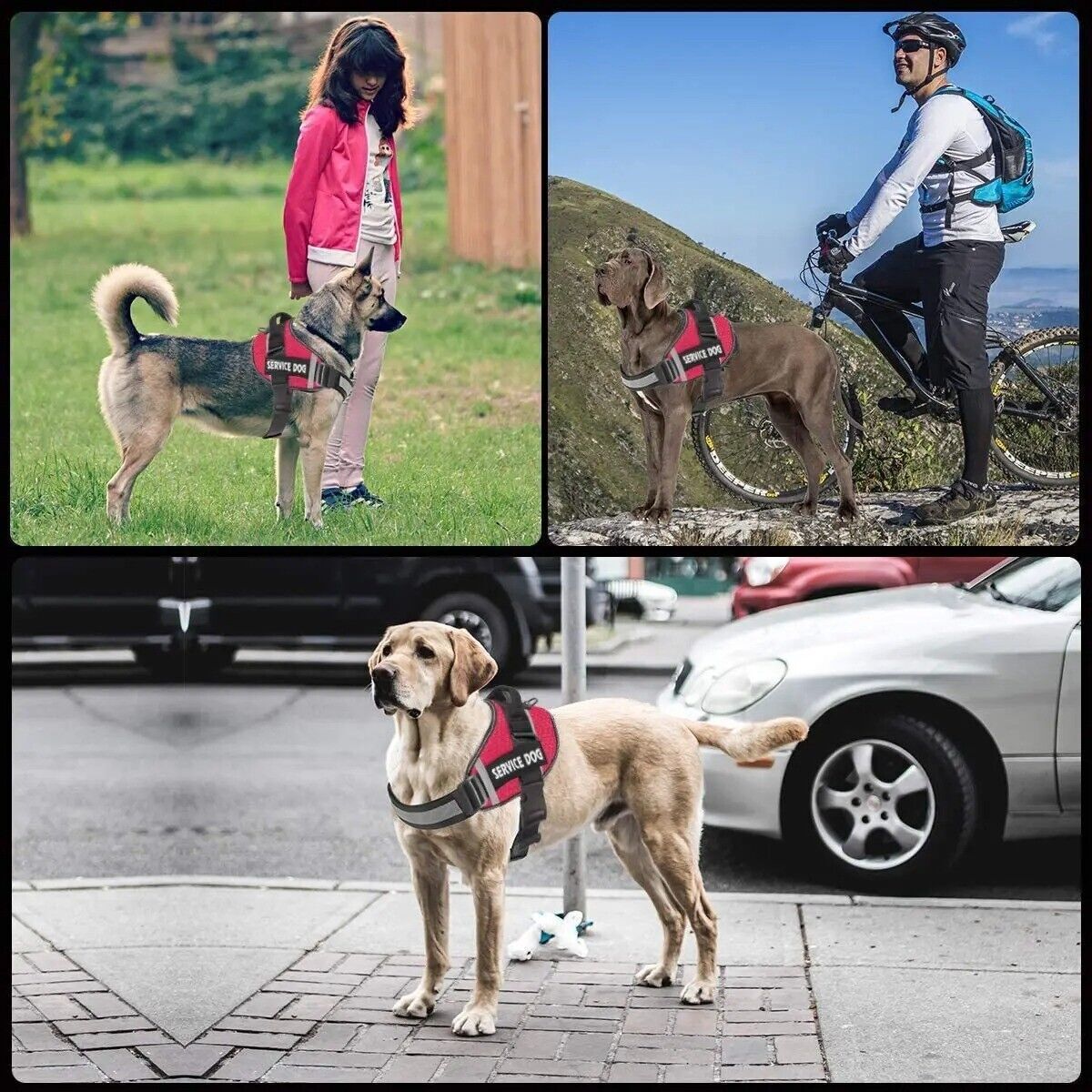 Reflective Service Dog Vest Harness, Woven Nylon with Adjustable Straps XS-XXL