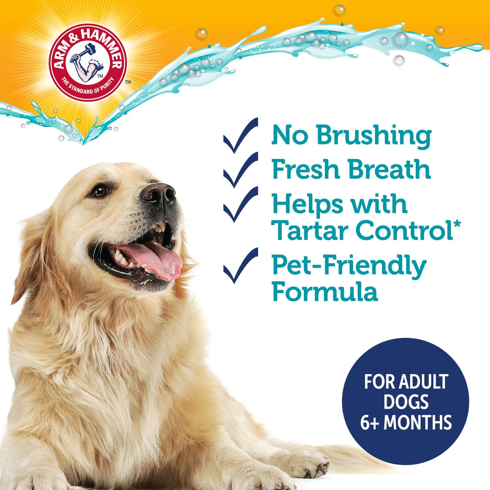Arm & Hammer Dog Dental Water Additive Breath 16 Fl Oz (Pack of 1), White