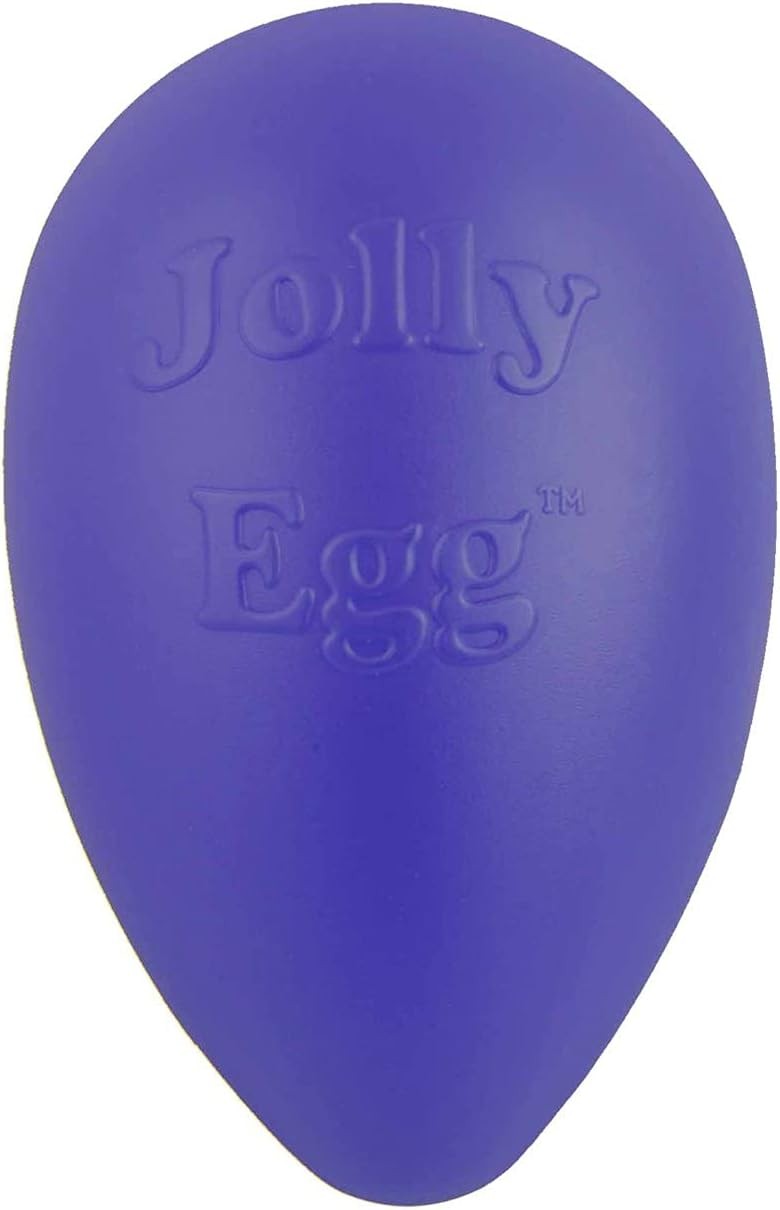 Jolly Pets Egg 8 inch Purple Hard Plastic Chew Toy for Small Dogs