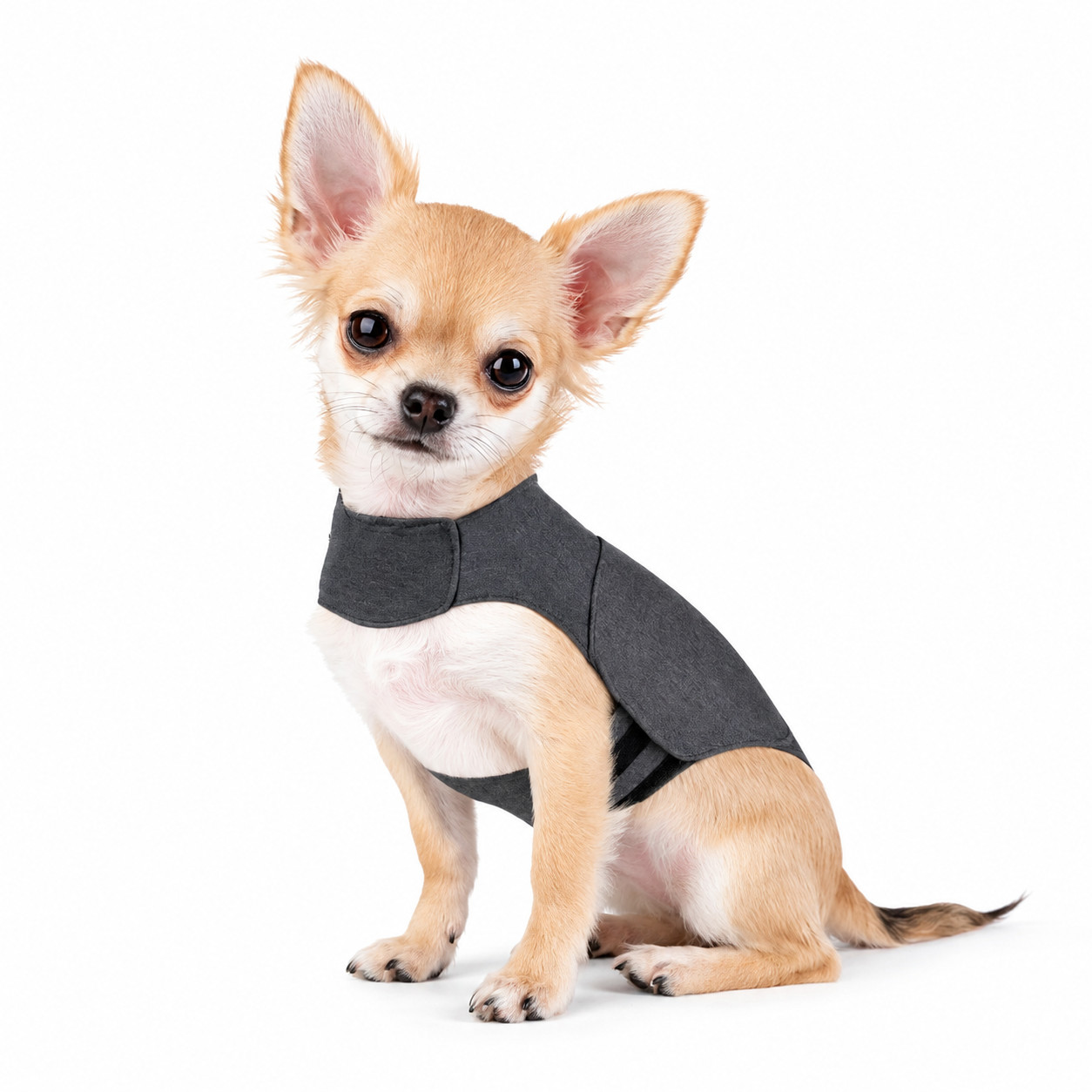 Dog Anxiety Vest Calming Coat Thunder Jacket for Small Medium Large Dogs