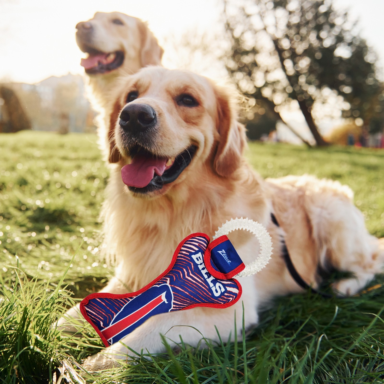 Pets First NFL Zubaz Dental Ring Toy for Dogs & Cats Dog Chew Toy with Squeaker