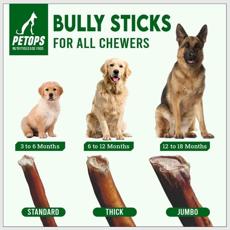 12 Pack Jumbo Bully Sticks 6 Inch – Thick All Natural Dog Chews, Chemical Free