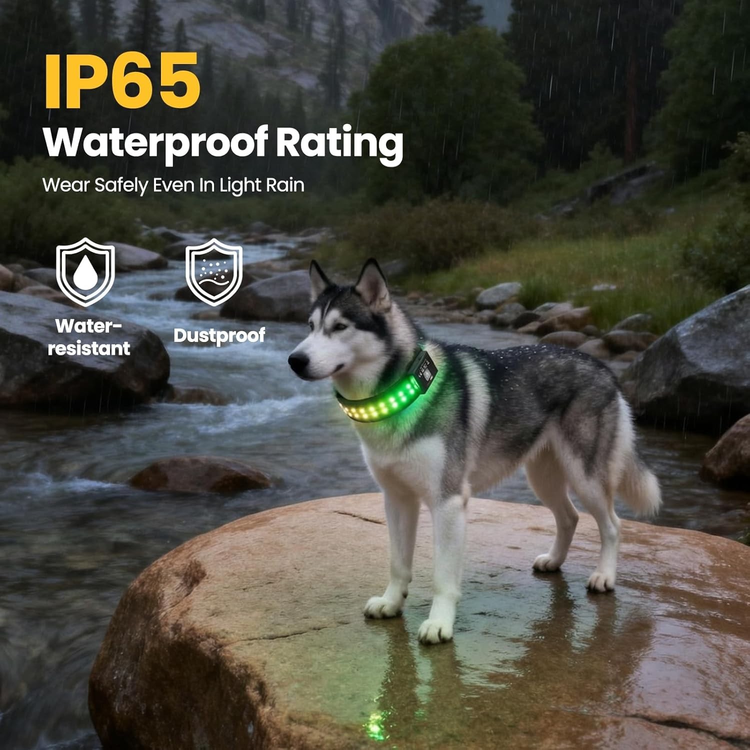 LED Dog Collar App Controlled Large; Light Up Night Safety Collar