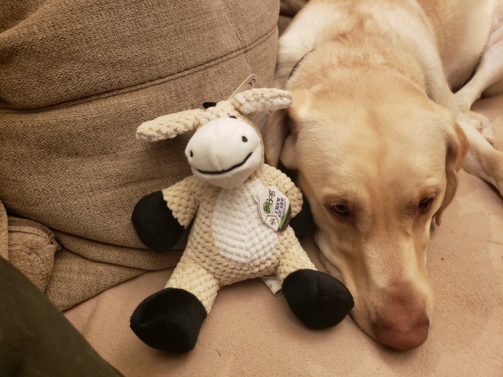 Godog Checkered Plush Donkey Chew Guard Small