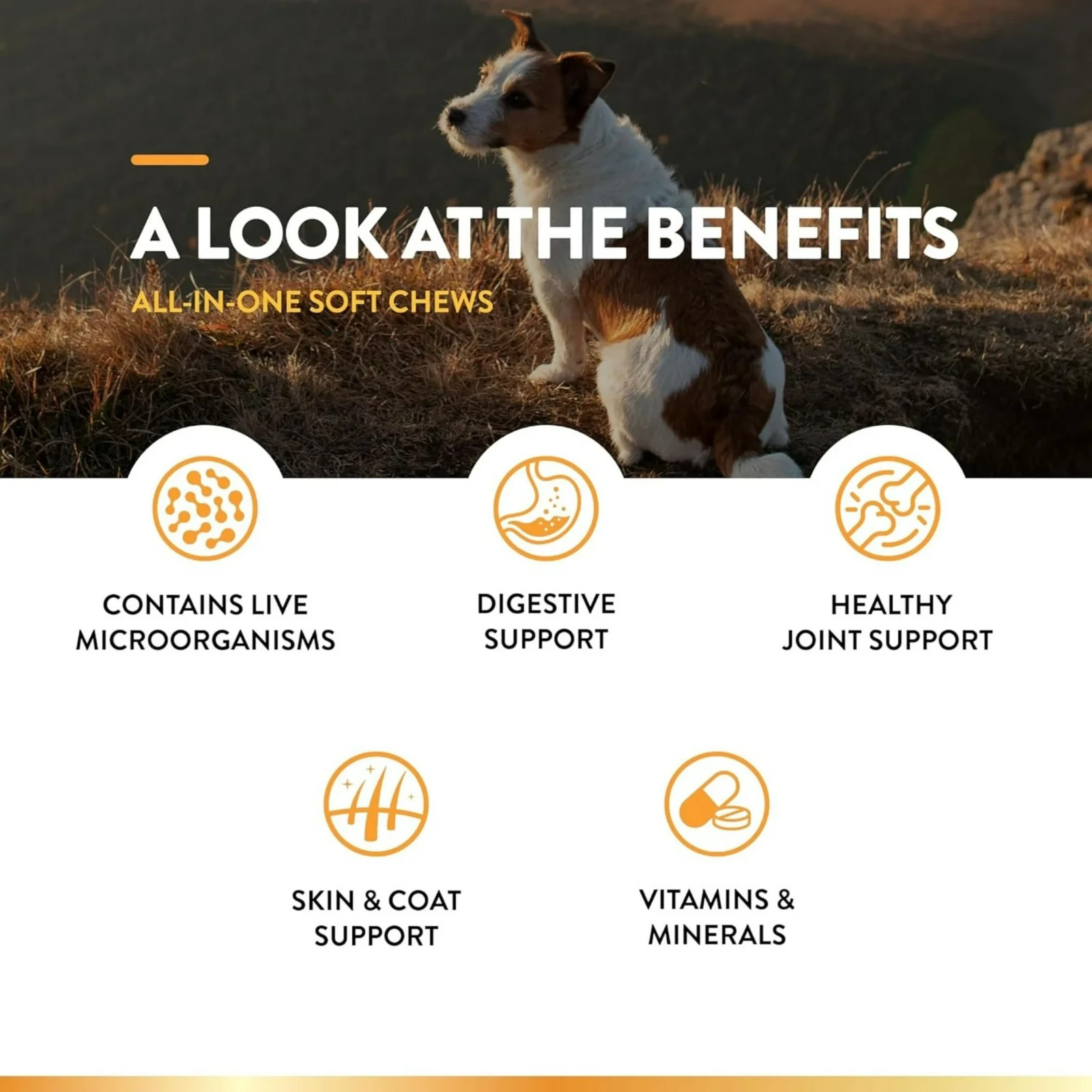 NaturVet All-In-One Digestive Skin and Coat Joint Vitamins Soft Dog Chew 120 ct
