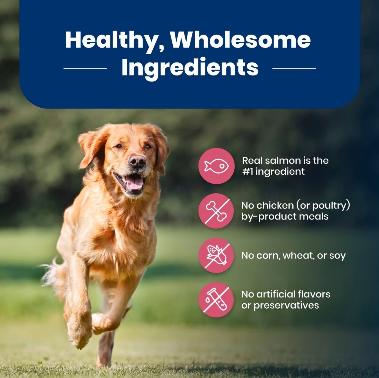 Blue Buffalo Life Protection Formula Adult Dry Dog Food, Salmon, Chicken Free,15