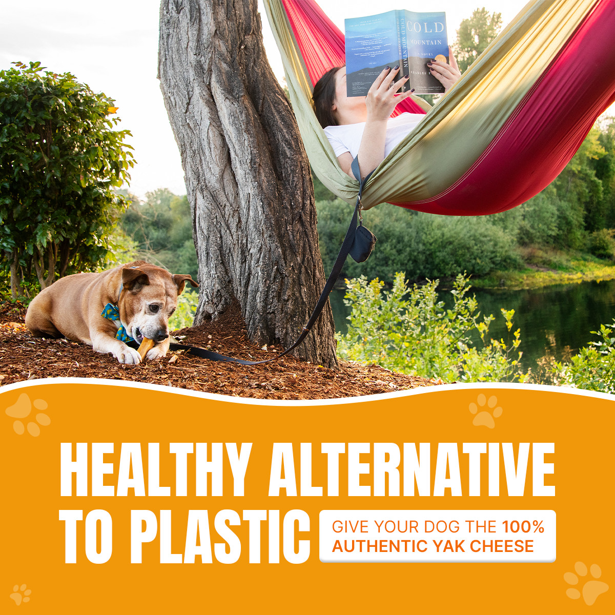 Yak Cheese CHEWS for SMALL DOGS – 15pc, Natural and Easily Digestible Dog Treats