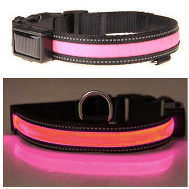 Nylon Dog Collar LED Solar Charging & USB Rechargeable Safety Glow 2 Light Modes