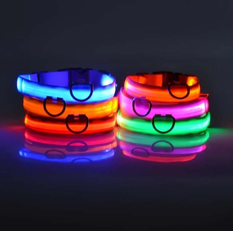 LED Flashing Dog Leash & Luminous Collar Nylon Night Safety Glow Pet Lead