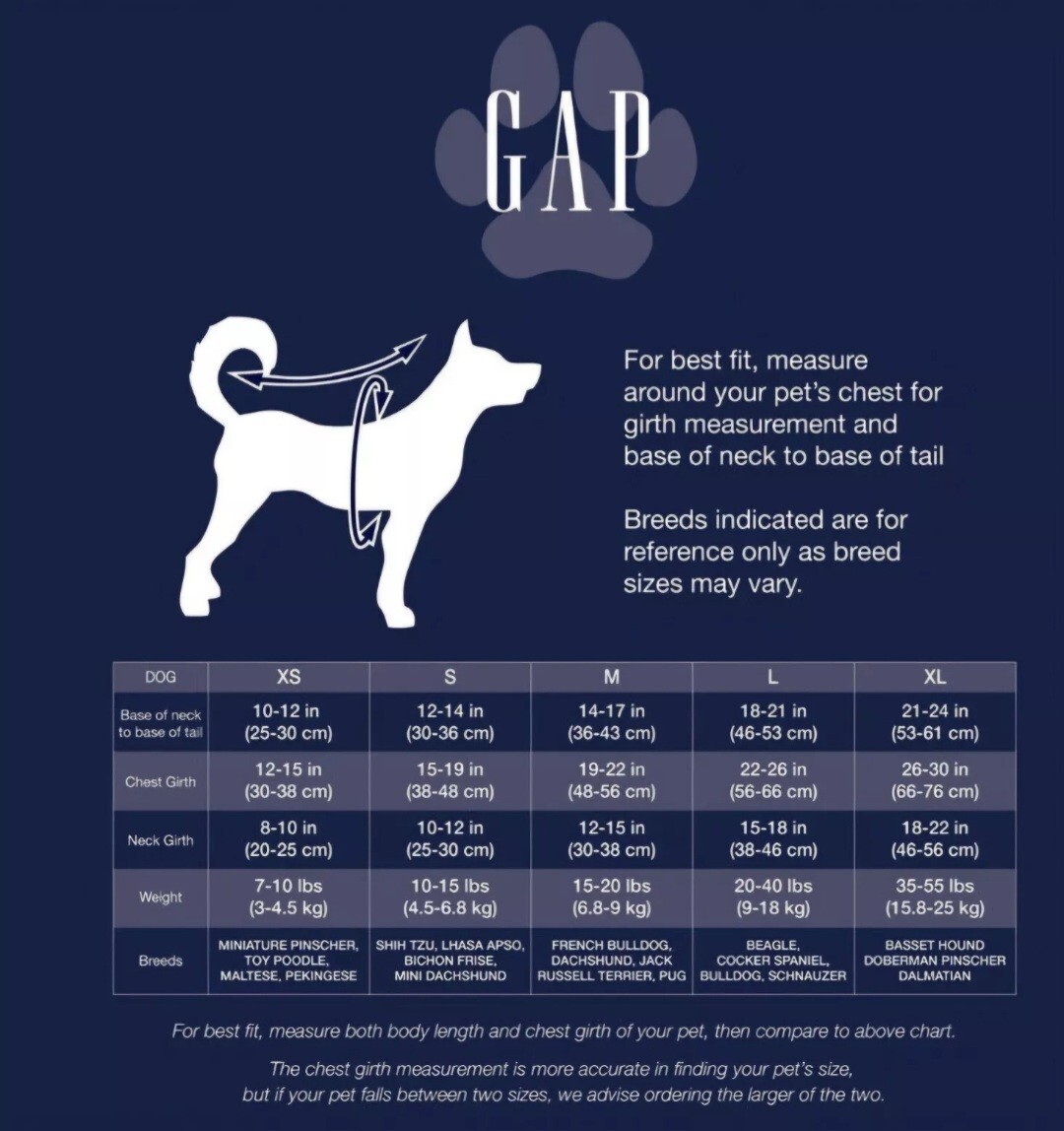 GAP Logo Blue & White Striped Henley, Pullover Puppy/Dog Sweater, Large