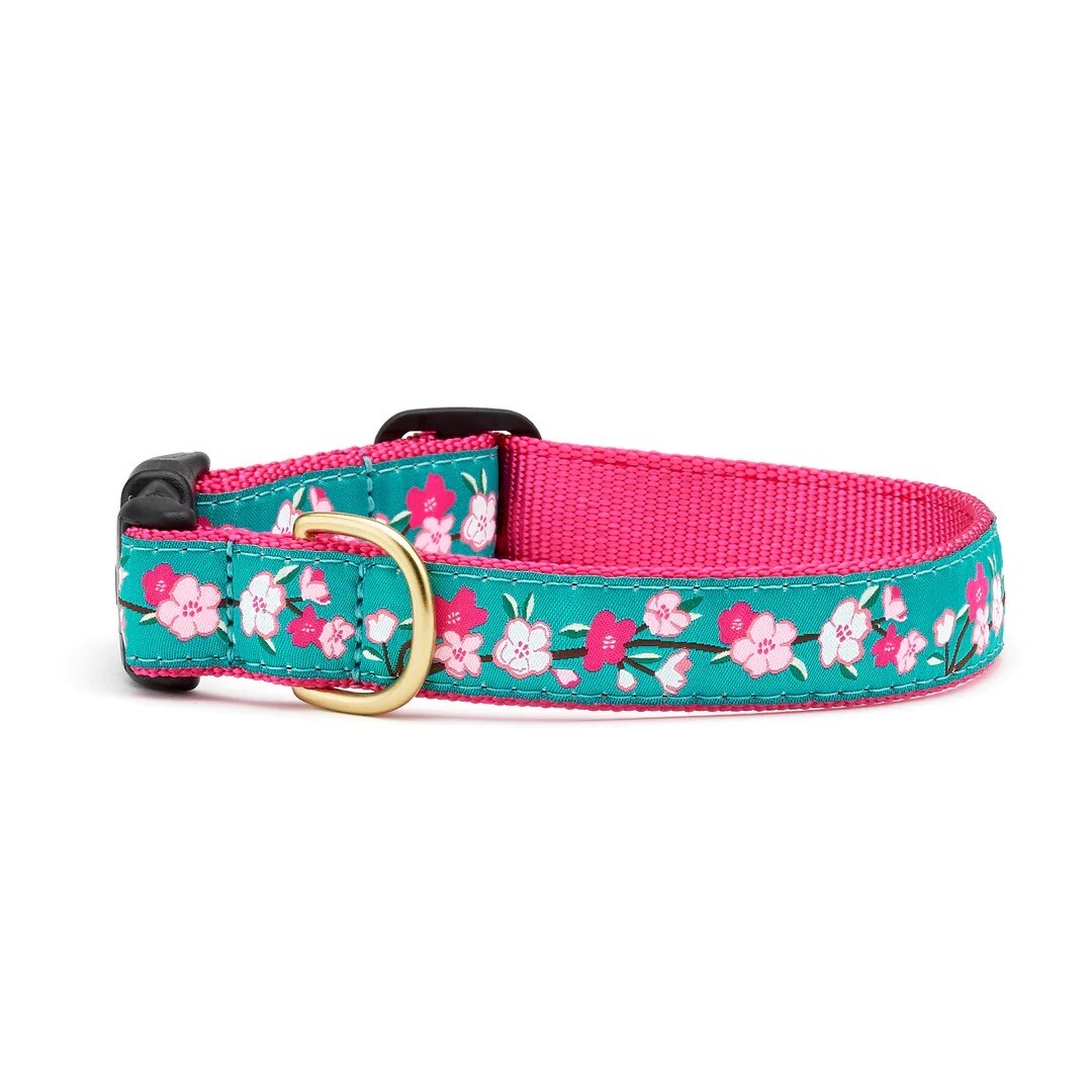 Up Country Dog Collar Adjustable Made In USA Cherry Blossoms XS S M L XL XXL