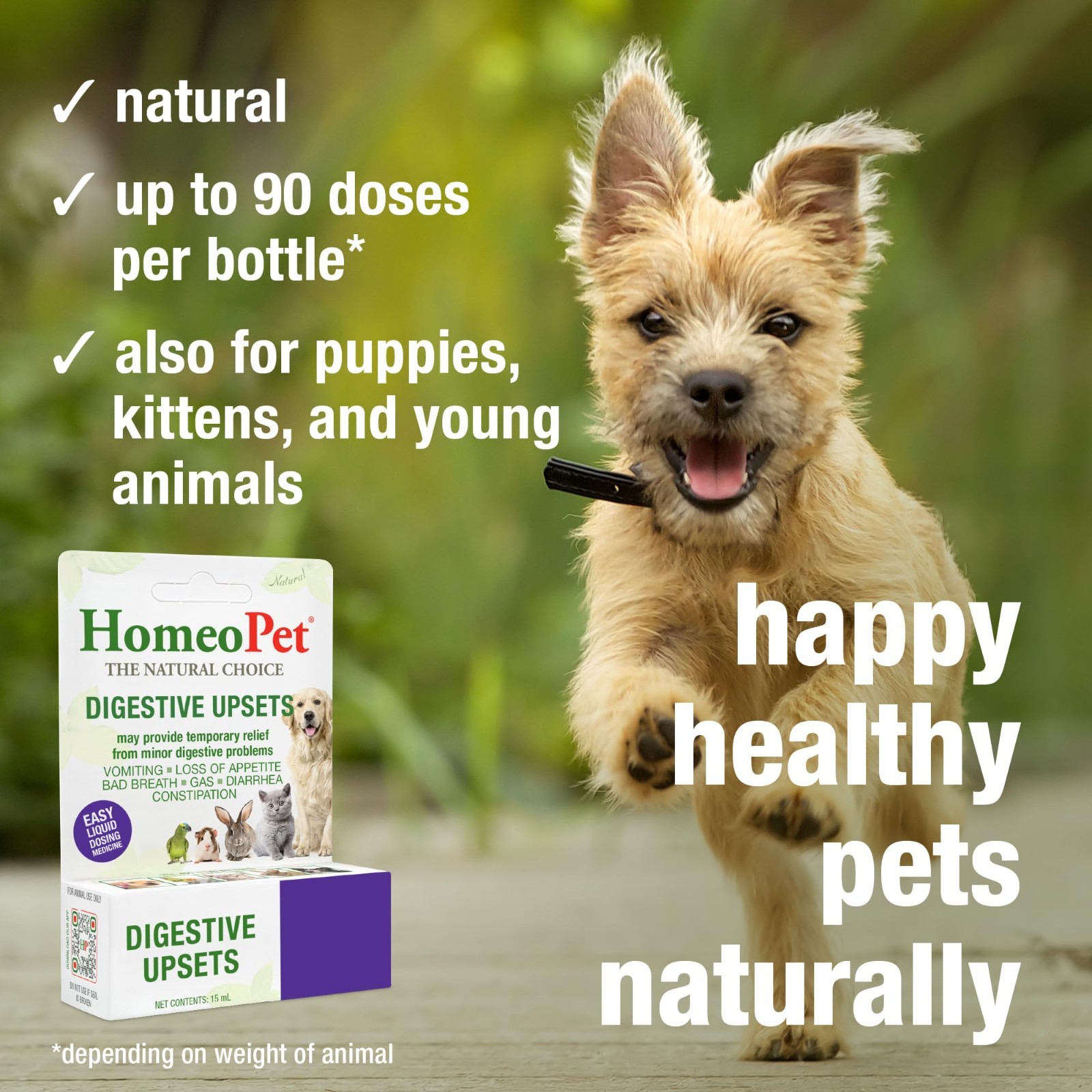 Natural Digestive Support for Dogs & Cats – Gentle, Safe Relief for Upsets, 15ml