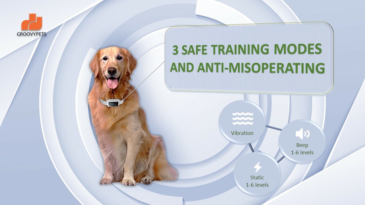 Touchscreen Automatic Anti bark Dog Collar Intelligent Safe Humane Waterproof