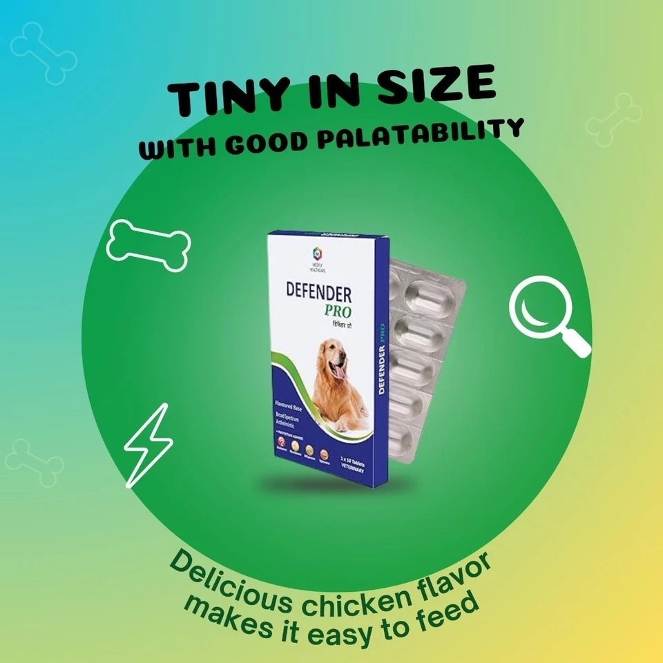 Medfly Healthcare Defender Pro Dewormer 10 Tabs For Dogs of All Life Stages