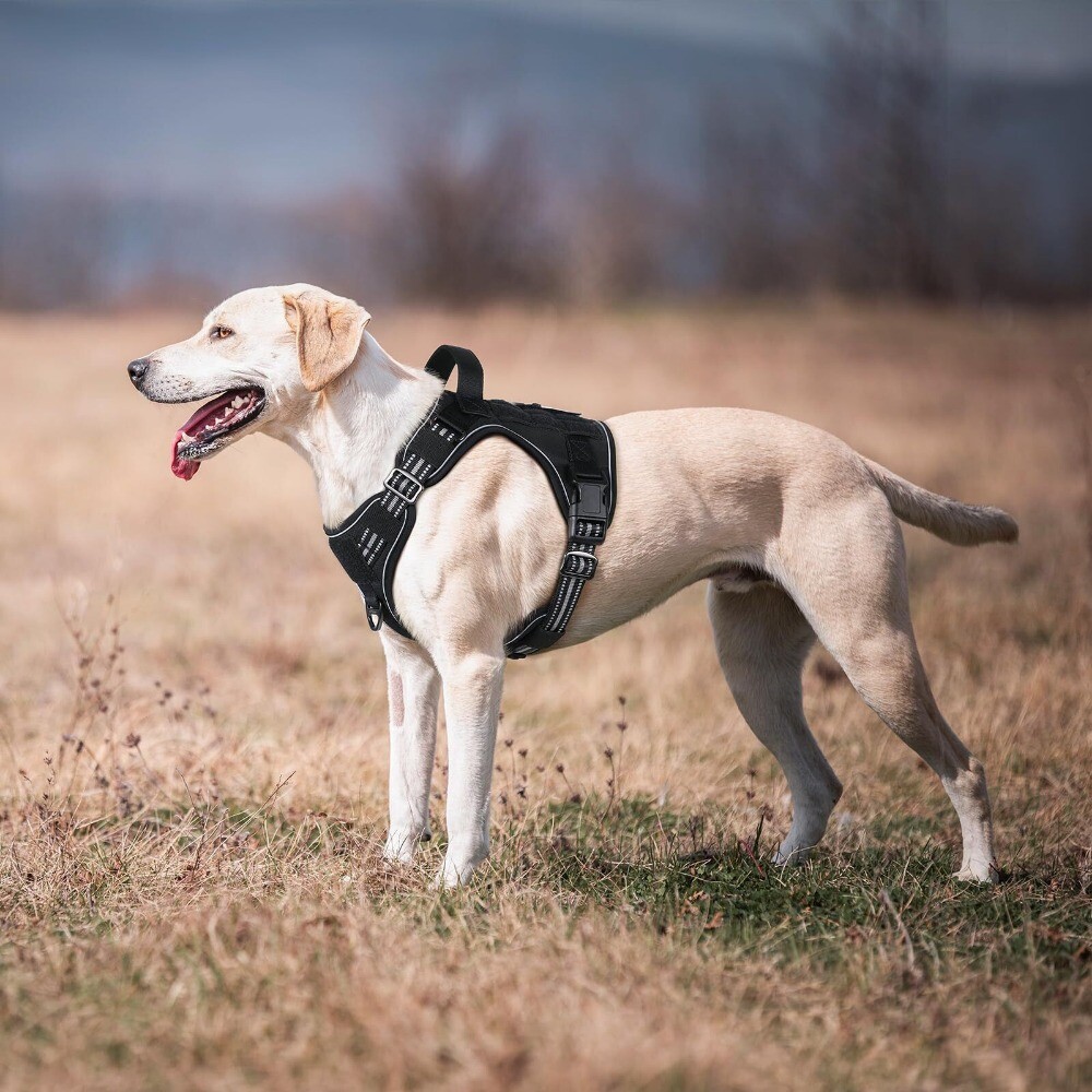 rabbitgoo Dog Harness No Pull Tactical Vest Adjustable Reflective Military Black