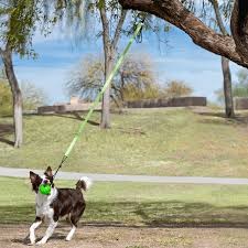 Jolly Pets Tree Tugger Interactive Dog Toy For Solo Playtime Green Bungee Ball